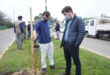 Plantan durazneros en boulevares mercedinos