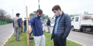 Plantan durazneros en boulevares mercedinos