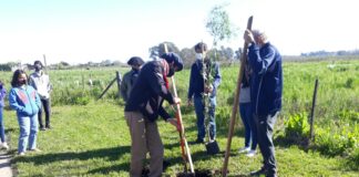 Dirección de Espacios Verdes sigue con su plan de reforestación