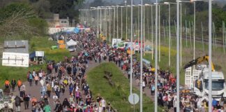 Miles de fieles peregrinaron a Luján y pidieron «salud y trabajo»