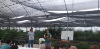 Curso de jardinería y viverización en el Vivero Biotecnológico