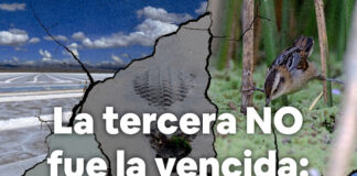 LEY DE HUMEDALES: LA TERCERA NO FUE LA VENCIDA