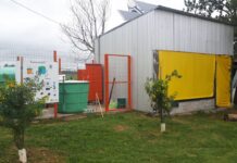 CEPT 4 y Municipio entregarán mil ponedoras para productores locales