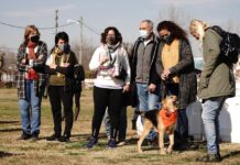 Nueva jornada de adopción animal en La Trocha