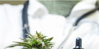 La Defensoría ayudará a las ONG que busquen ser proveedoras de cannabis medicinal