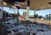 Temporal: caída de cables, árboles y ramas que aplastaron autos