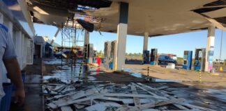 Temporal: caída de cables, árboles y ramas que aplastaron autos