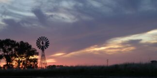 PUNTA INDIO: NATURALEZA Y EXPERIENCIAS DE TURISMO COMUNITARIO