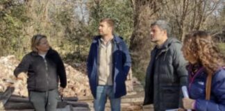 Avanzan las gestiones para realizar el «Paseo Ribereño de Mercedes»