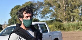 Poda correctiva y cuidado del ambiente en la ciudad
