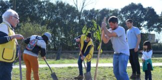 El Club de Leones y el Municipio realizaron plantación de nativas
