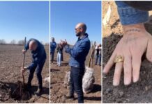 Abel Pintos plantó los primeros 1.000 árboles de un proyecto ecológico que realiza en Mercedes