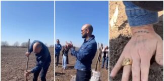 Abel Pintos plantó los primeros 1.000 árboles de un proyecto ecológico que realiza en Mercedes
