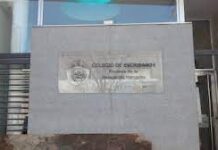 Colegio de Escribanos: asumen nuevas autoridades