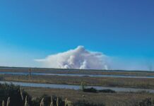 Se reglamentó la Ley provincial de Manejo del Fuego