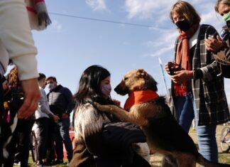 Domingo con Festival Mascotero en La Trocha