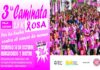3° Caminata Rosa de Villa Lugano