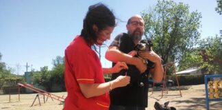 El cuidado de las mascotas continúa en la ciudad de Mercedes