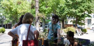 Feria y expo agroecológica en Plaza San Martín