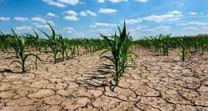 Conformaron la “Comisión Local de Emergencia y Desastre Agropecuario”