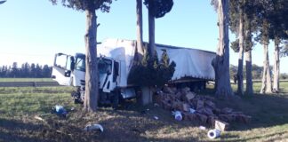 Un camión se incrustó contra un árbol en la Autopista 5