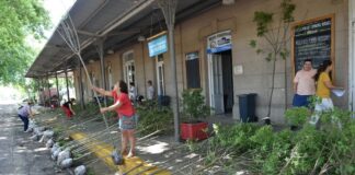 Espacios Verdes y una gran propuesta: Banco de Semillas de Especies Nativas