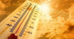 Recomendaciones y cuidados ante las olas de calor