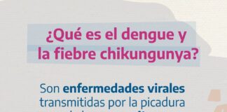 Dengue y fiebre chikungunya: ¿cómo prevenir y qué hacer ante un contagio?
