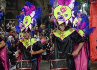 Capaccio: “más de 2000 artistas pasan cada noche por avenida 29”