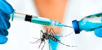 Vacunas contra el dengue en Argentina: cuáles son las avaladas y cuál está en estudio