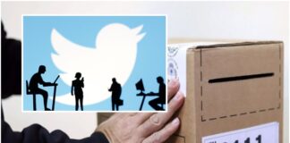 La democracia troll