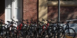 “Caminos Naturales” nueva propuesta cultural y turística con bicis de la muni