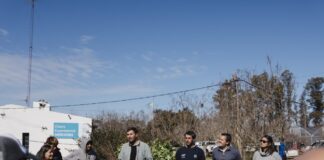 Continúan las campañas de forestación y apoyo a productores