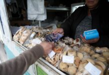 COMPRE SIN IVA: LA AFIP DESPLIEGA ESPACIOS MÓVILES DE ATENCIÓN EN LA PROVINCIA DE BUENOS AIRES