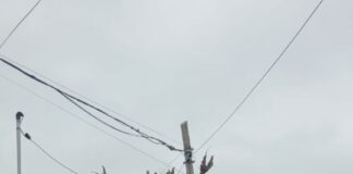 LA POLICIA FEDERAL REALIZO UN ALLANAMIENTO POR VENTA DE DROGAS EN SAN ANDRES DE GILES