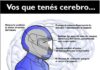 El 47% de los muertos en accidentes de tránsito son motociclistas