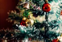 ¿Por qué se arma el arbolito de Navidad el 8 de diciembre?
