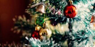 ¿Por qué se arma el arbolito de Navidad el 8 de diciembre?