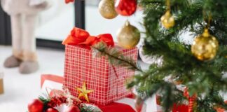 Banco Provincia lanzó una promoción especial para Navidad