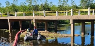 Continúan las limpiezas en el río y adyacencias