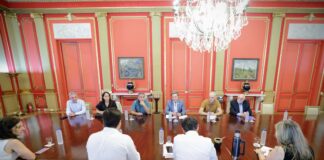 Kicillof recibió a representantes nacionales y provinciales del sector farmacéutico