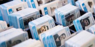 La Provincia emitió más de 2 millones de licencias de conducir en un año