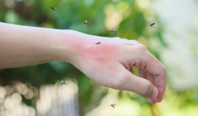 MOSQUITOS