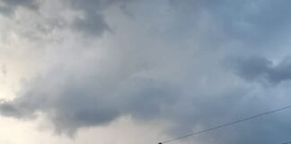 LA TORMENTA DEJÓ SIN SERVICIO ZONA RURAL DE MERCEDES