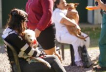 Se viene una nueva jornada de adopción y castración animal en nuestra ciudad
