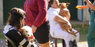 Se viene una nueva jornada de adopción y castración animal en nuestra ciudad