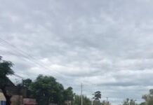 Los problemas y peligros de la nueva Autovía Sur