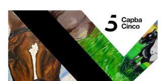 ESTE VIERNES SE INAUGURA UNA NUEVA MUESTRA DE ARTE EN EL COLEGIO DE ARQUITECTOS