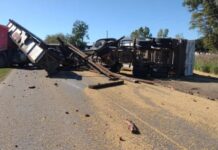 Camión derrumbó puente ferroviario del tren turístico que une Mercedes-Tomás Jofre