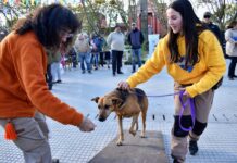 Excelente acompañamiento en el 2° Festival Mascotero en plaza San Luís